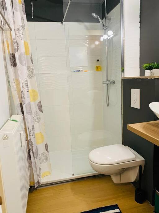 Appartement Tres Proche Mediacite - Centre Ville Liège Kültér fotó